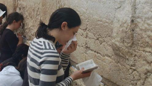 娱乐吃瓜君37,揭秘娱乐圈最新热点事件